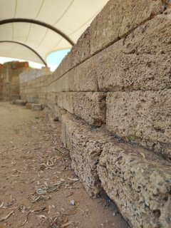 Mura Timoleontee